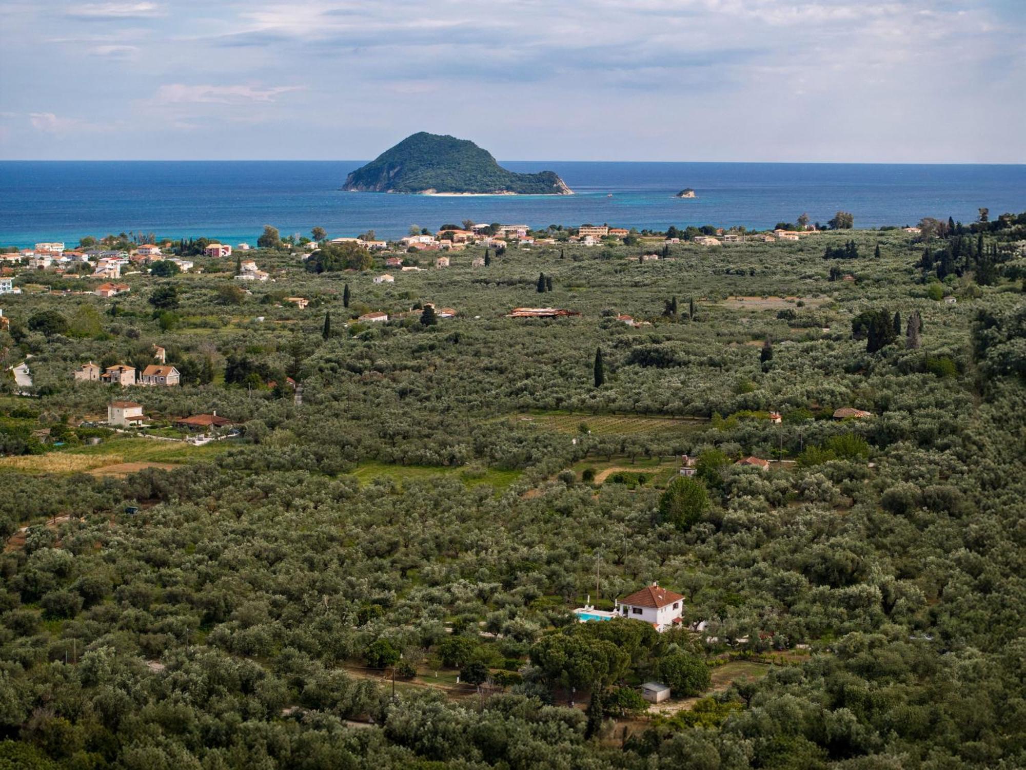 Villa Lola - 3 Bedrooms & Private Pool Lithakia  Buitenkant foto